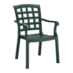 Кресло Papatya Паша зеленый