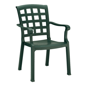 Крісло Papatya Паша зелений