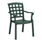 Крісло Papatya Паша зелений