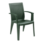 Крісло Papatya Алізе темно-зелений