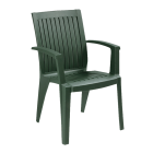 Крісло Papatya Алізе темно-зелений