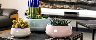 Горшки для цветов