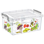 Контейнер Irak Plastik 5 л с рисунком прозрачный