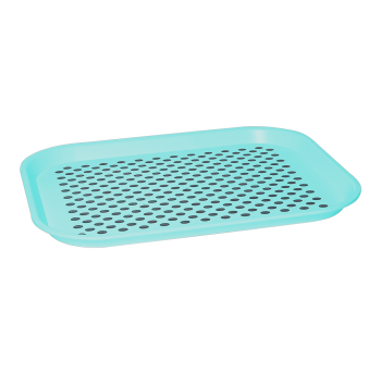 Поднос противоскользящее покрытие бирюзовый Irak Plastik