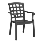 Крісло Papatya Паша антрацит