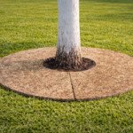 Приствольные круги