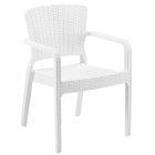 Крісло Tilia Antares біла слонова кістка