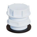 Штуцер ПЕТ 2 дюйма 58 мм білий з заглушкою