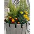 Горщик для квітів Akasya Arrangement 6 л сіро-коричневий