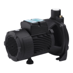 Насос поверхностный поливочный Pumpman TCP158 Hmax 33 м Qmax 6 куб.м 1 дюйм х 1 дюйм 750 Вт