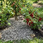 Конопляная костра для мульчирования микс 5 кг