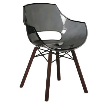 Крісло Papatya Opal Wox Iroko прозоро-сіре