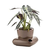 Елемент меню