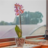 Елемент меню