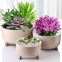 Елемент меню